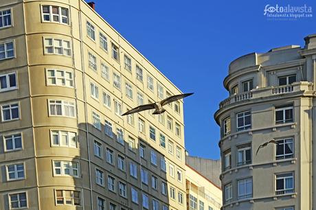 Volando entre altos edificios distorsionados. Fotografía creativa - Fotografía artística
