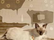 Prints set: gatos tomando