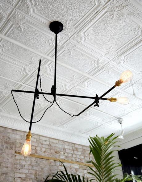 En estado salvaje. Completando espacios con las plantas techos con casetones