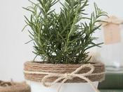 DIY: Tunea macetero terracota dejalo chulo...BUENO, BONITO BARATO!