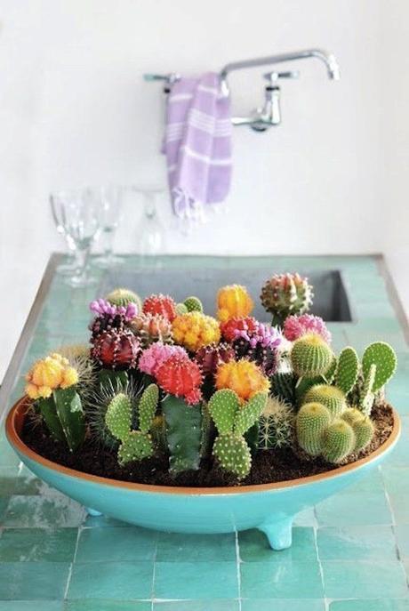 Inspired By: Succulent & Cactus Gardens — Apartment Therapy More information... http://recipes-food.vivaint.biz: 