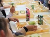 AlleREACT: registra reacciones alérgicas alimentos