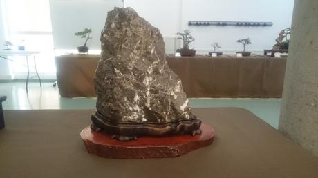 Exposición de la ASOCIACIÓ BONSAI DEL VALLES a Can Palet 2016