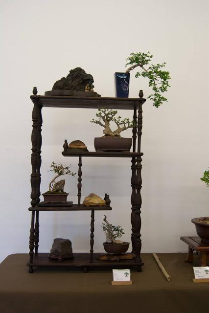 Exposición de la ASOCIACIÓ BONSAI DEL VALLES a Can Palet 2016