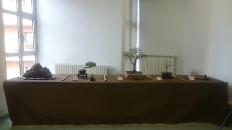 Exposición de la ASOCIACIÓ BONSAI DEL VALLES a Can Palet 2016