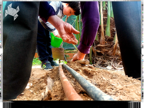 Perdonadme que insista