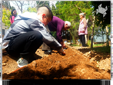 Perdonadme que insista