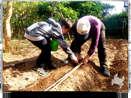 Perdonadme que insista