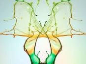 reed publica sanctuary junio