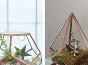 Decorando con... terrarios