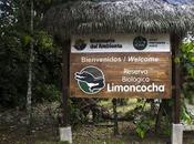 Limoncocha, laguna irreductible