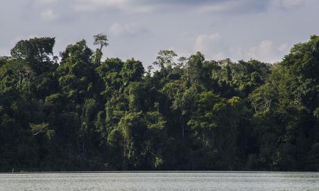 Limoncocha, la laguna irreductible