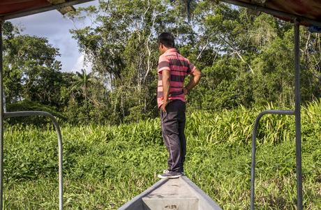 Limoncocha, la laguna irreductible