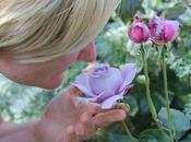 Juegos sensoriales para niños: Juguetes aromas