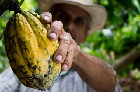 El lado oscuro del chocolate