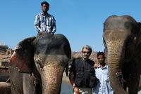 Transportes de tracción animal