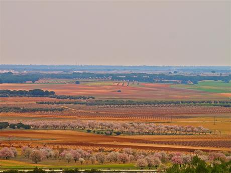 Marea rosa en La Mancha. Autora, Gloria Castro