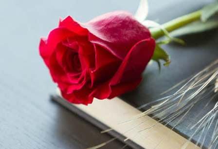 Libros para regalar este Sant Jordi (Día del Libro 2016)