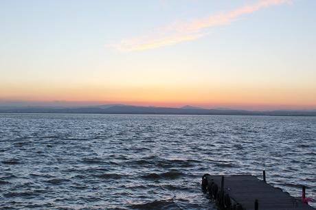 Un paseo por La Albufera