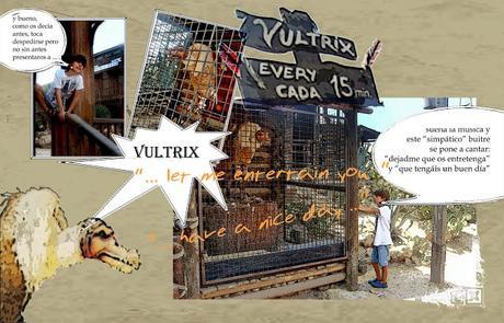 Montaje y personalización de fotolibros: 