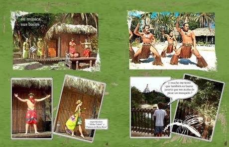 Montaje y personalización de fotolibros: 