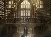 Primer trailer BESTIAS FANTÁSTICAS DONDE ENCONTRARLAS, Spin-Off Harry Potter Eddie Redmayne