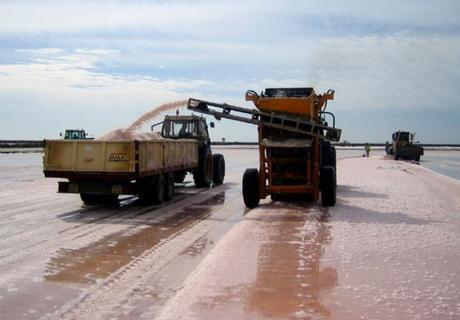 Usos y aplicaciones de la sal uso de la sal