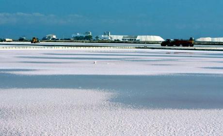 Usos y aplicaciones de la sal Usos de la sal