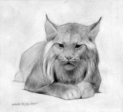 Abuelos del Paleoarte: Charles Knight