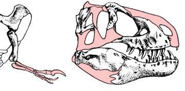 Abuelos del Paleoarte: Charles Knight