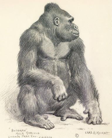 Abuelos del Paleoarte: Charles Knight
