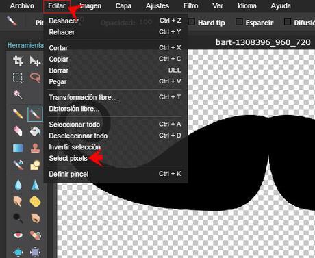 pixlr-seleccionar-pincel pixlr seleccionar editar y pincel