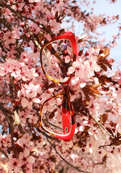 Gafas de The Fab Glasses