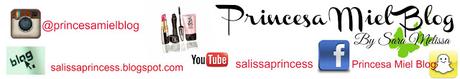 Nuestros Videos de Youtube - Princesa Miel Blog