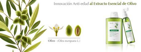 Champú al Extracto Esencial de Olivo de KLORANE en FARMAPOLO Champú al Extracto Esencial de Olivo de KLORANE en FARMAPOLO