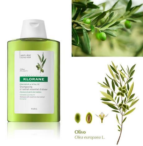 Champú al Extracto Esencial de Olivo de KLORANE en FARMAPOLO