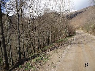 Xomezana Riba-Puerto Bovias