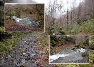 Xomezana Riba-Puerto Bovias