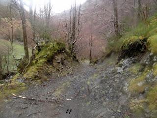 Xomezana Riba-Puerto Bovias