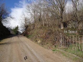 Xomezana Riba-Puerto Bovias