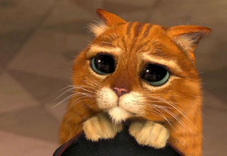 Mi experiencia en el Balneario de Mondariz