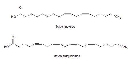 principales ácidos grasos Omega-6