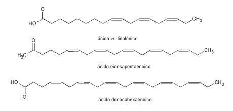 principales ácidos grasos Omega-3