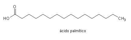 ácido palmítico