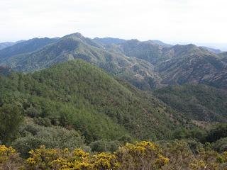 Pico de La Ràpita
