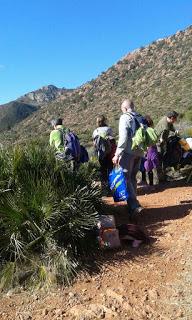 Colocación de Cajas Anidaderas en el Desert de les Palmes