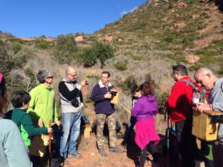 Colocación de Cajas Anidaderas en el Desert de les Palmes