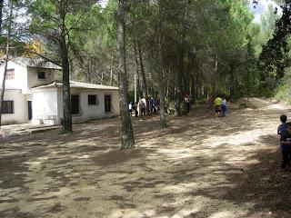 Circular por Estenas