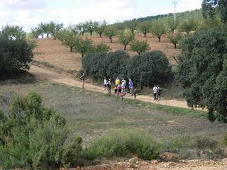 Circular por Estenas