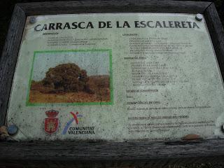 Circular por Estenas